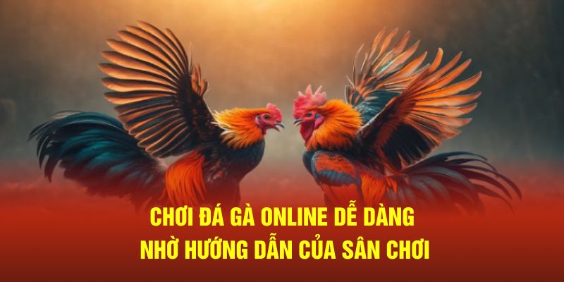 Chơi đá gà online dễ dàng nhờ hướng dẫn của sân chơi