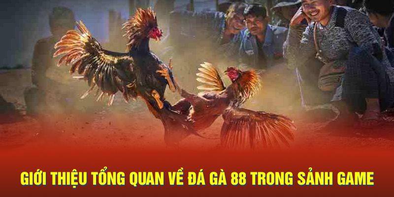 Giới thiệu tổng quan về đá gà 88 trong sảnh game