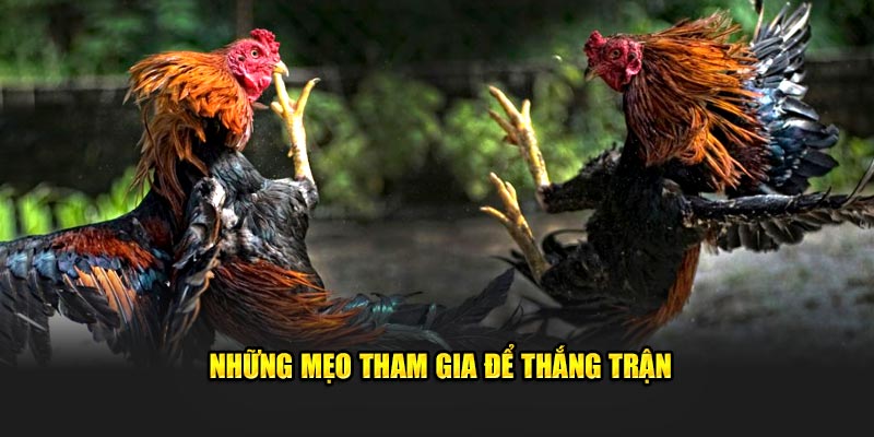 Những mẹo tham gia để thắng trận